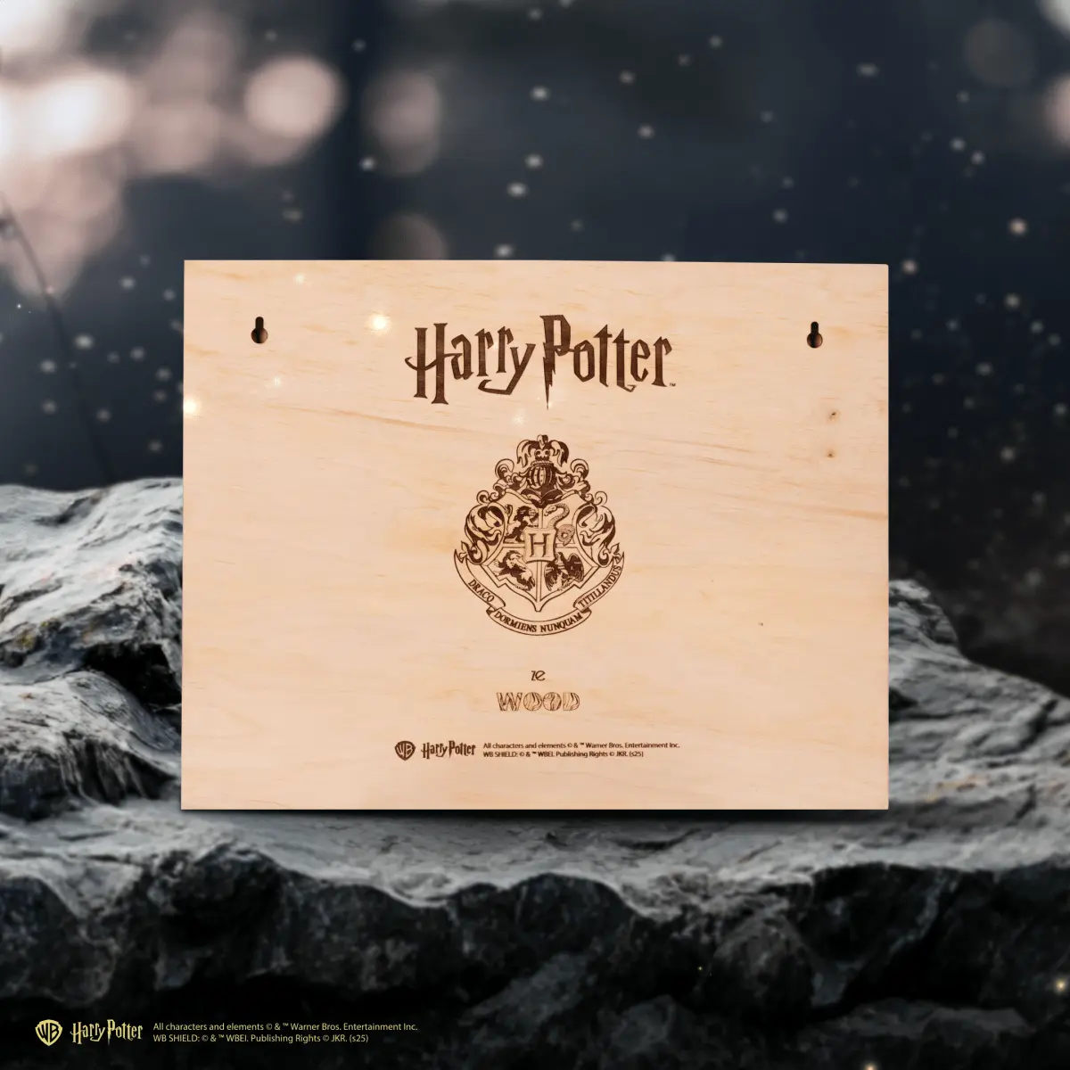 HOGWARTS™ 3D WOOD WALL POSTER ZeWood Inc.